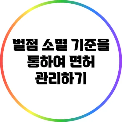 벌점 소멸 기준을 통하여 면허 관리하기