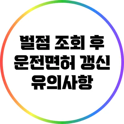 벌점 조회 후 운전면허 갱신 유의사항