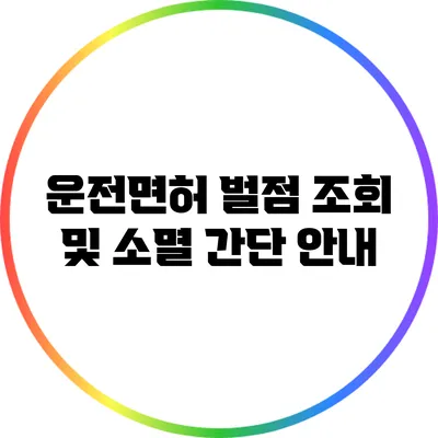 운전면허 벌점 조회 및 소멸 간단 안내