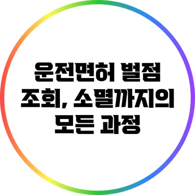 운전면허 벌점 조회, 소멸까지의 모든 과정