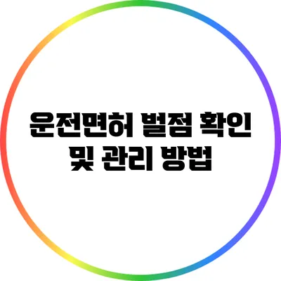 운전면허 벌점 확인 및 관리 방법