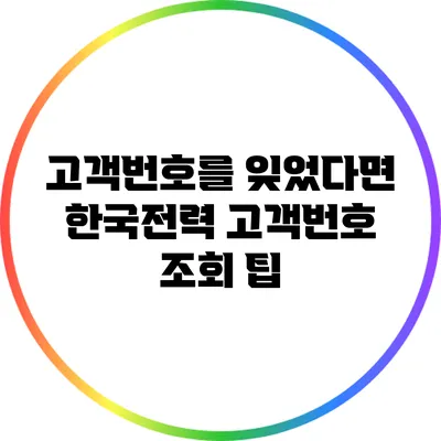 고객번호를 잊었다면? 한국전력 고객번호 조회 팁