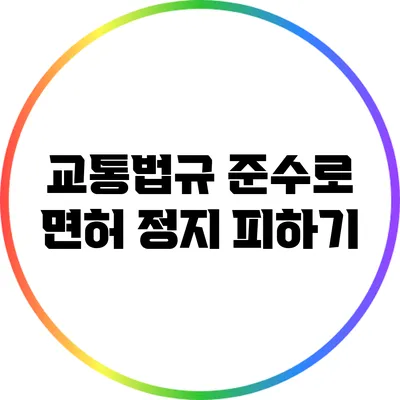 교통법규 준수로 면허 정지 피하기