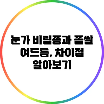 눈가 비립종과 좁쌀 여드름, 차이점 알아보기