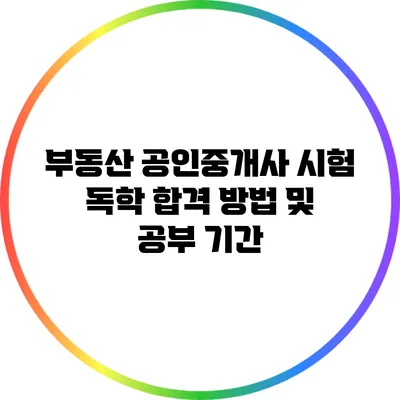 부동산 공인중개사 시험 독학 합격 방법 및 공부 기간