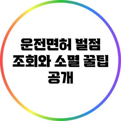 운전면허 벌점 조회와 소멸 꿀팁 공개