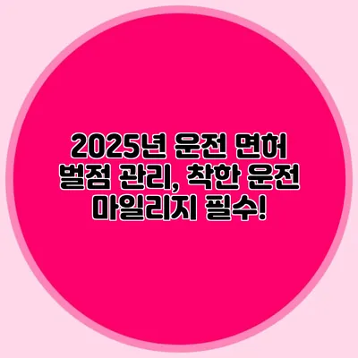 2025년 운전 면허 벌점 관리, 착한 운전 마일리지 필수!