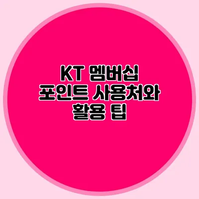 KT 멤버십 포인트 사용처와 활용 팁
