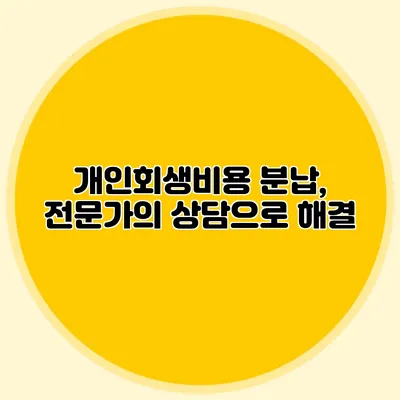 개인회생비용 분납, 전문가의 상담으로 해결