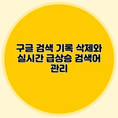 구글 검색 기록 삭제와 실시간 급상승 검색어 관리