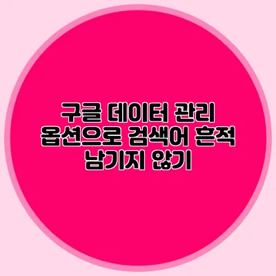 구글 데이터 관리 옵션으로 검색어 흔적 남기지 않기