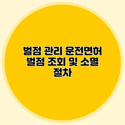 벌점 관리 운전면허 벌점 조회 및 소멸 절차