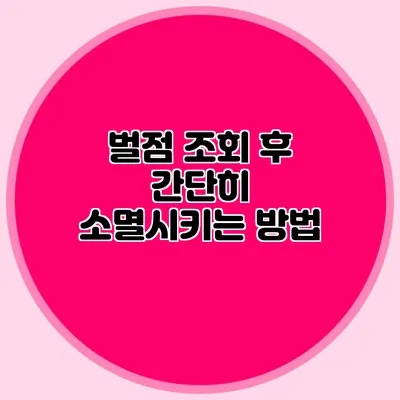벌점 조회 후 간단히 소멸시키는 방법