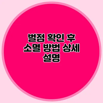 벌점 확인 후 소멸 방법 상세 설명