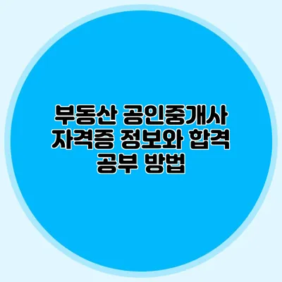 부동산 공인중개사 자격증 정보와 합격 공부 방법