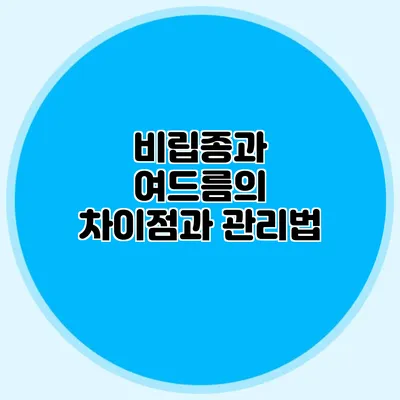 비립종과 여드름의 차이점과 관리법
