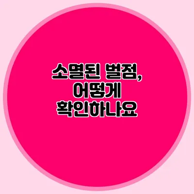 소멸된 벌점, 어떻게 확인하나요?