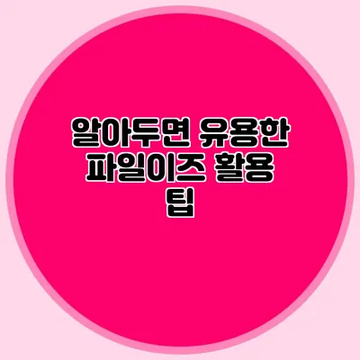 알아두면 유용한 파일이즈 활용 팁