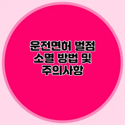 운전면허 벌점 소멸 방법 및 주의사항