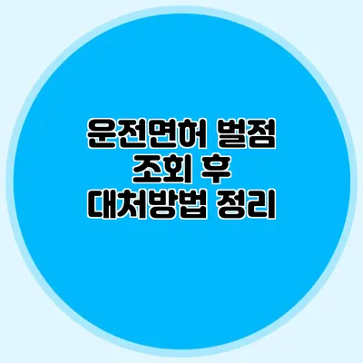 운전면허 벌점 조회 후 대처방법 정리
