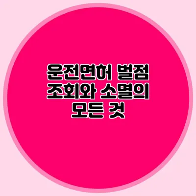 운전면허 벌점 조회와 소멸의 모든 것