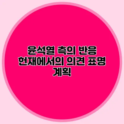 윤석열 측의 반응 헌재에서의 의견 표명 계획