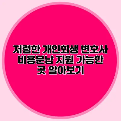 저렴한 개인회생 변호사 비용분납 지원 가능한 곳 알아보기