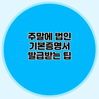 주말에 법인 기본증명서 발급받는 팁