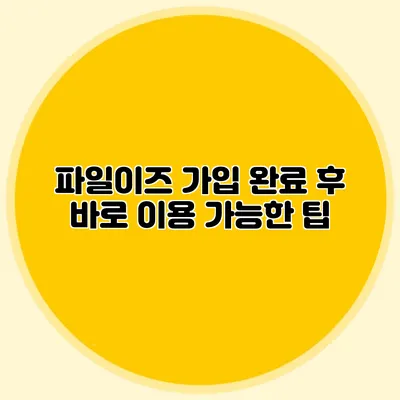 파일이즈 가입 완료 후 바로 이용 가능한 팁
