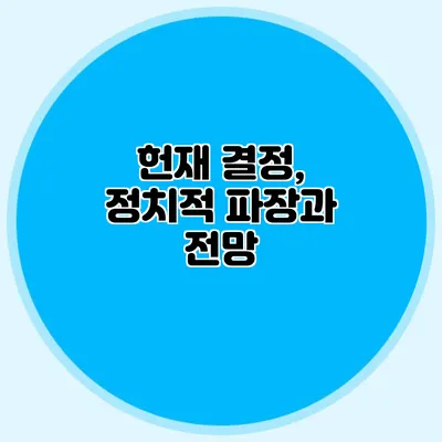 헌재 결정, 정치적 파장과 전망