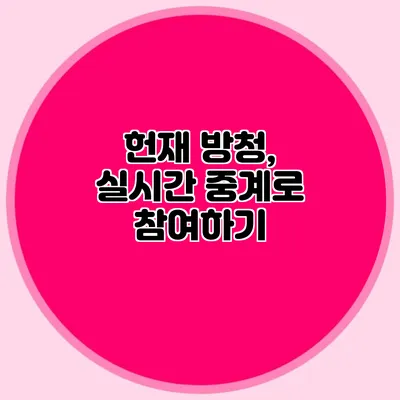 헌재 방청, 실시간 중계로 참여하기