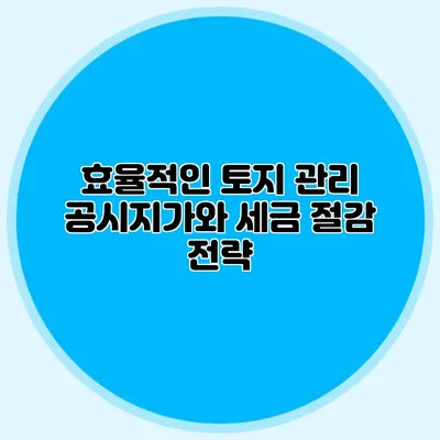 효율적인 토지 관리 공시지가와 세금 절감 전략