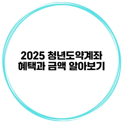 2025 청년도약계좌 혜택과 금액 알아보기