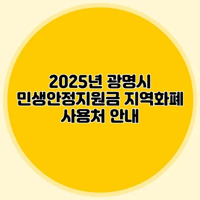 2025년 광명시 민생안정지원금 지역화폐 사용처 안내