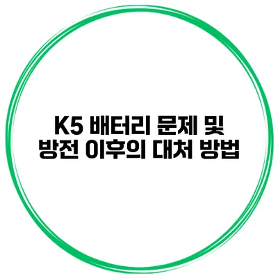 K5 배터리 문제 및 방전 이후의 대처 방법