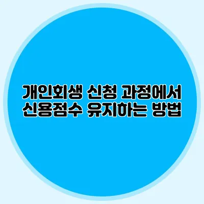 개인회생 신청 과정에서 신용점수 유지하는 방법