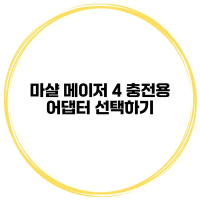 마샬 메이저 4 충전용 어댑터 선택하기
