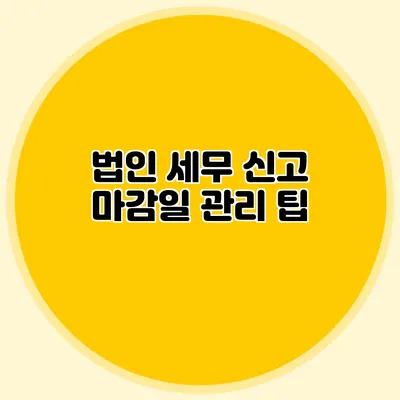 법인 세무 신고 마감일 관리 팁