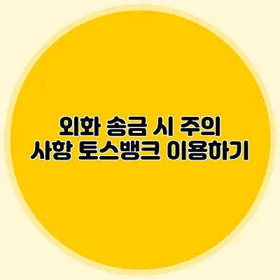 외화 송금 시 주의 사항 토스뱅크 이용하기
