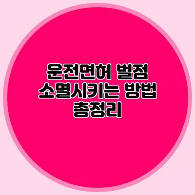 운전면허 벌점 소멸시키는 방법 총정리