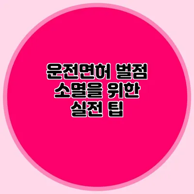 운전면허 벌점 소멸을 위한 실전 팁