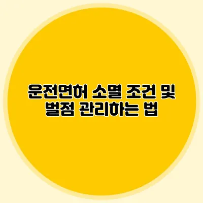 운전면허 소멸 조건 및 벌점 관리하는 법