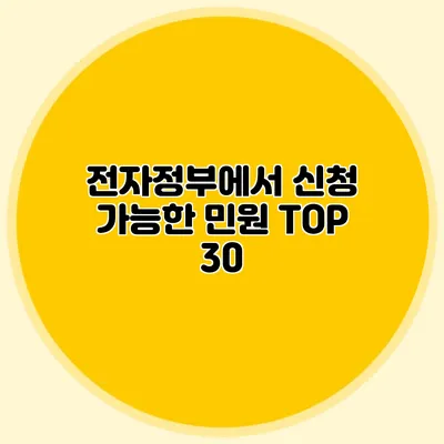 전자정부에서 신청 가능한 민원 TOP 30