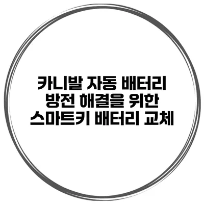 카니발 자동 배터리 방전 해결을 위한 스마트키 배터리 교체