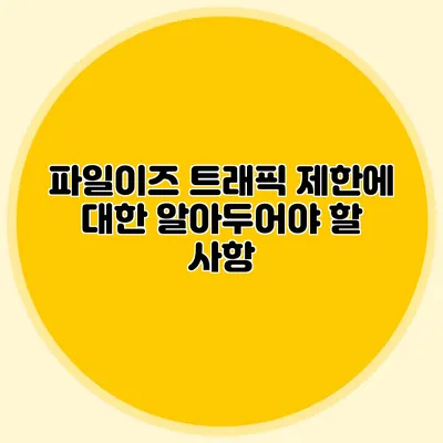 파일이즈 트래픽 제한에 대한 알아두어야 할 사항